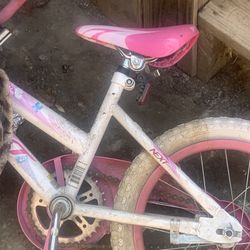 Girl Bike 