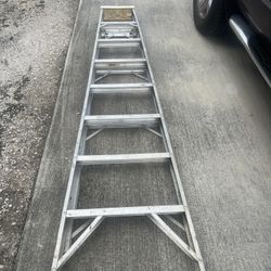 Ladder 8 Feet