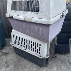 Dog Cage 