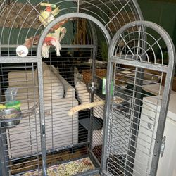 Bird Cages Sale 