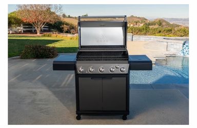 SPIRE PROPANE GAS BBQ GRILL NEW