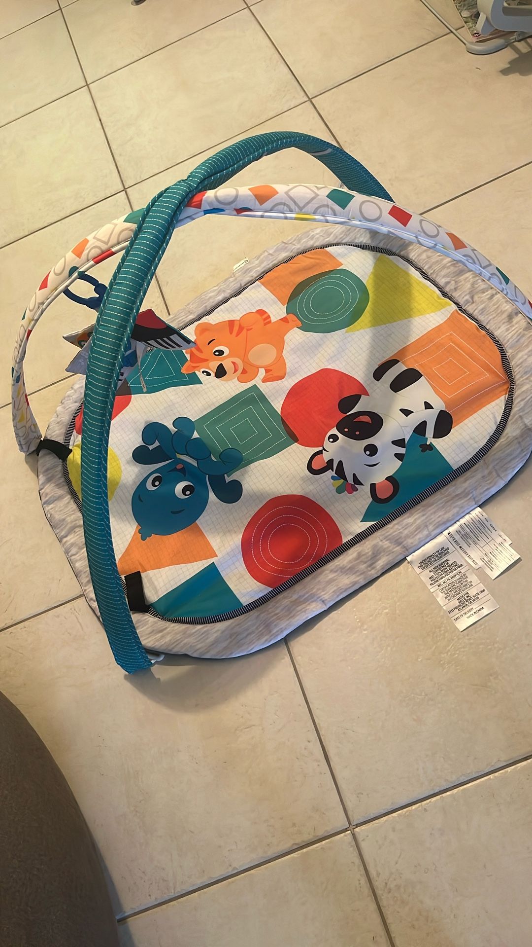 Baby Einstein Tummy time Mat
