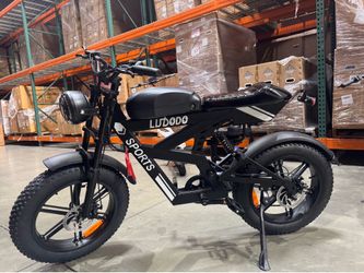 Motorcycle electric bicycle