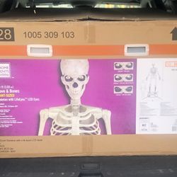12 Foot Skeleton For Sale