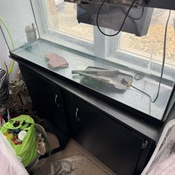 50 Gallon Fish Tank