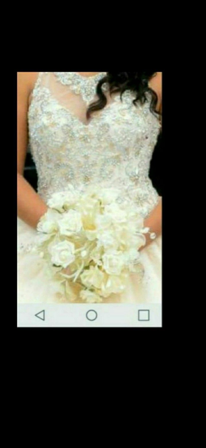 Quinceanera Dress or Bride