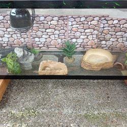 Gecko (small reptile) habitat