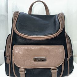 Purse / Backpack 