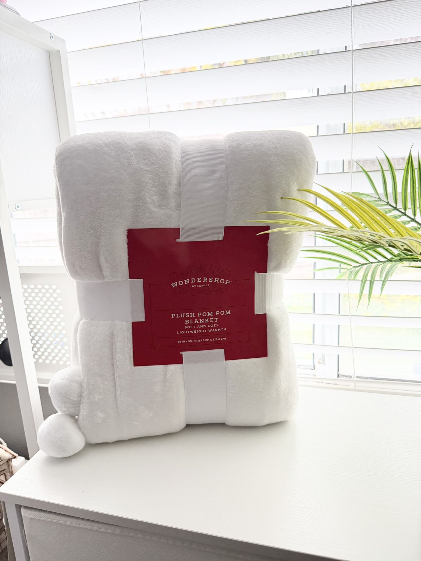 Wondershop Pompom Blanket