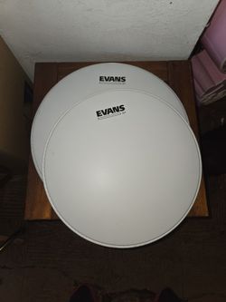 Drum head Evans G1
