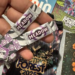 Electric Forest Good Life Meadows 4x 4 Day Tickets