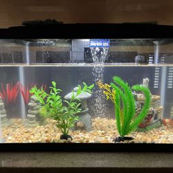 8-10 Gallon Fish Tank 