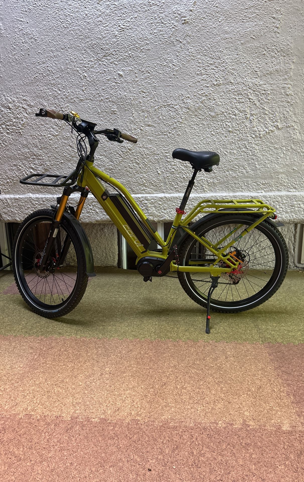 Special Custom E-bike- New Price - 1 Day Only