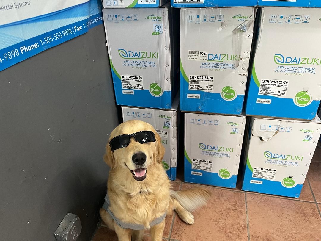 Mini Split Air Conditioners By Daizuki. Be Cool Like Sadie!