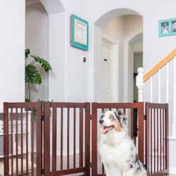 Primetime Petz 360 Configurable Gate With Door  (Up To 72 Inches Wide Or Configurable Pet Pen (With Gate)