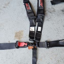 STV 5 point Race Harnesses ( 1 Available)