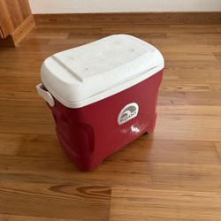 Igloo Cooler