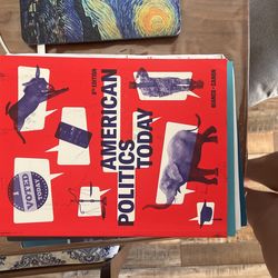 American Politics Today