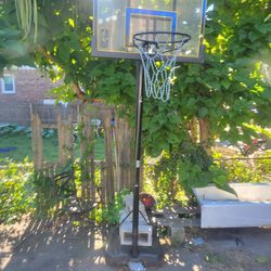 Basketball Hoop 🏀 