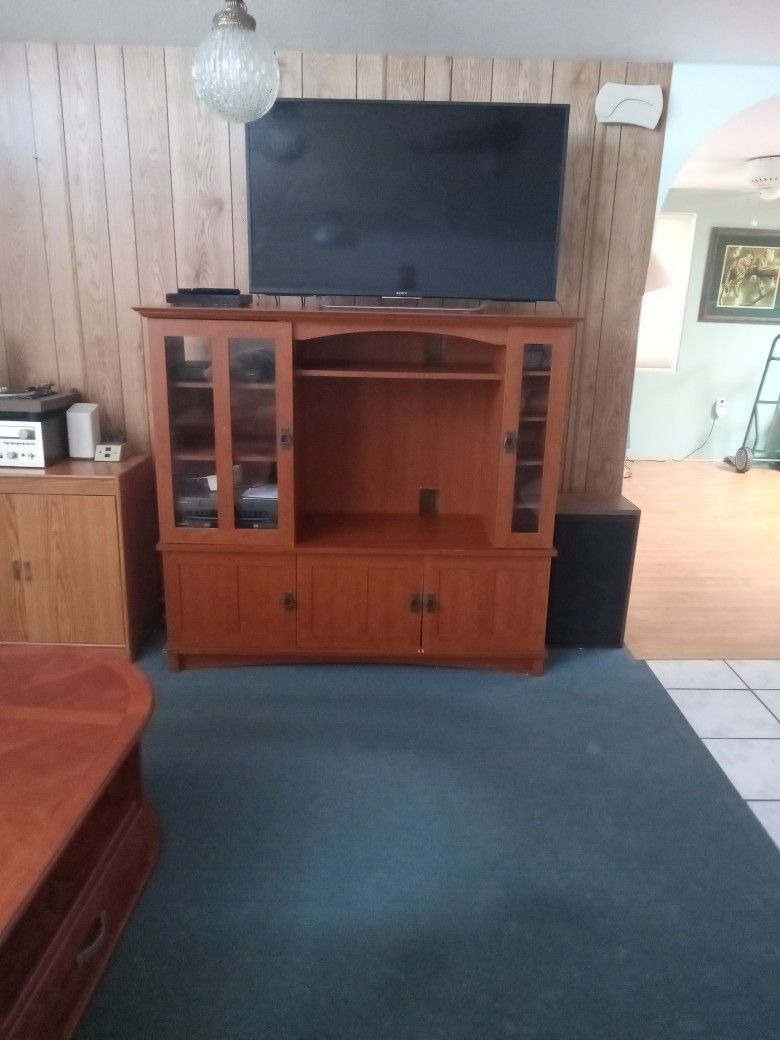 Entertainment Center Medium Color