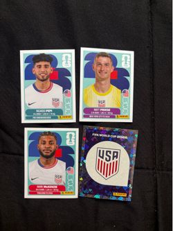 USA fifa World Cup panini stickers