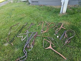 Misc.Bridles, reins, headstalls, breast collar