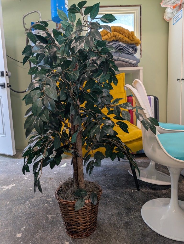 Fake Decorative Plant 