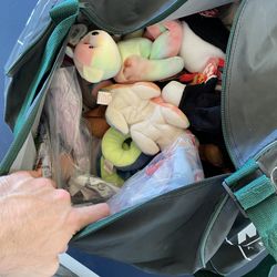 Bag Of Beanie Babies