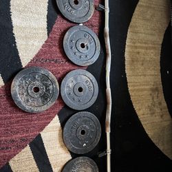 10/Ten Pound Weight Plates With Bar and Clips 