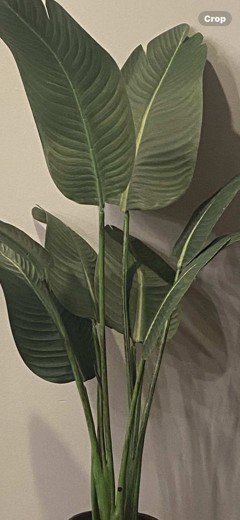 Faux Bird Of Paradise Plant In The Textured Brown Ceramic Pot H42”