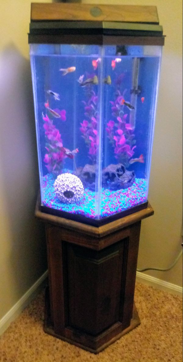 10 gallon hexagon aquarium and stand (Pending Pickup) for