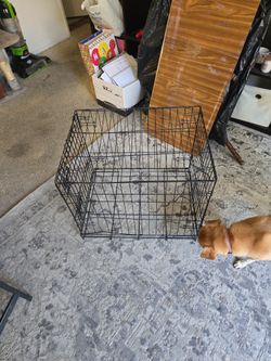Small animal Kennel