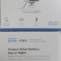 New BLINK Mini Camera