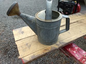 Vintage 1 gallon savory water can with shower spout