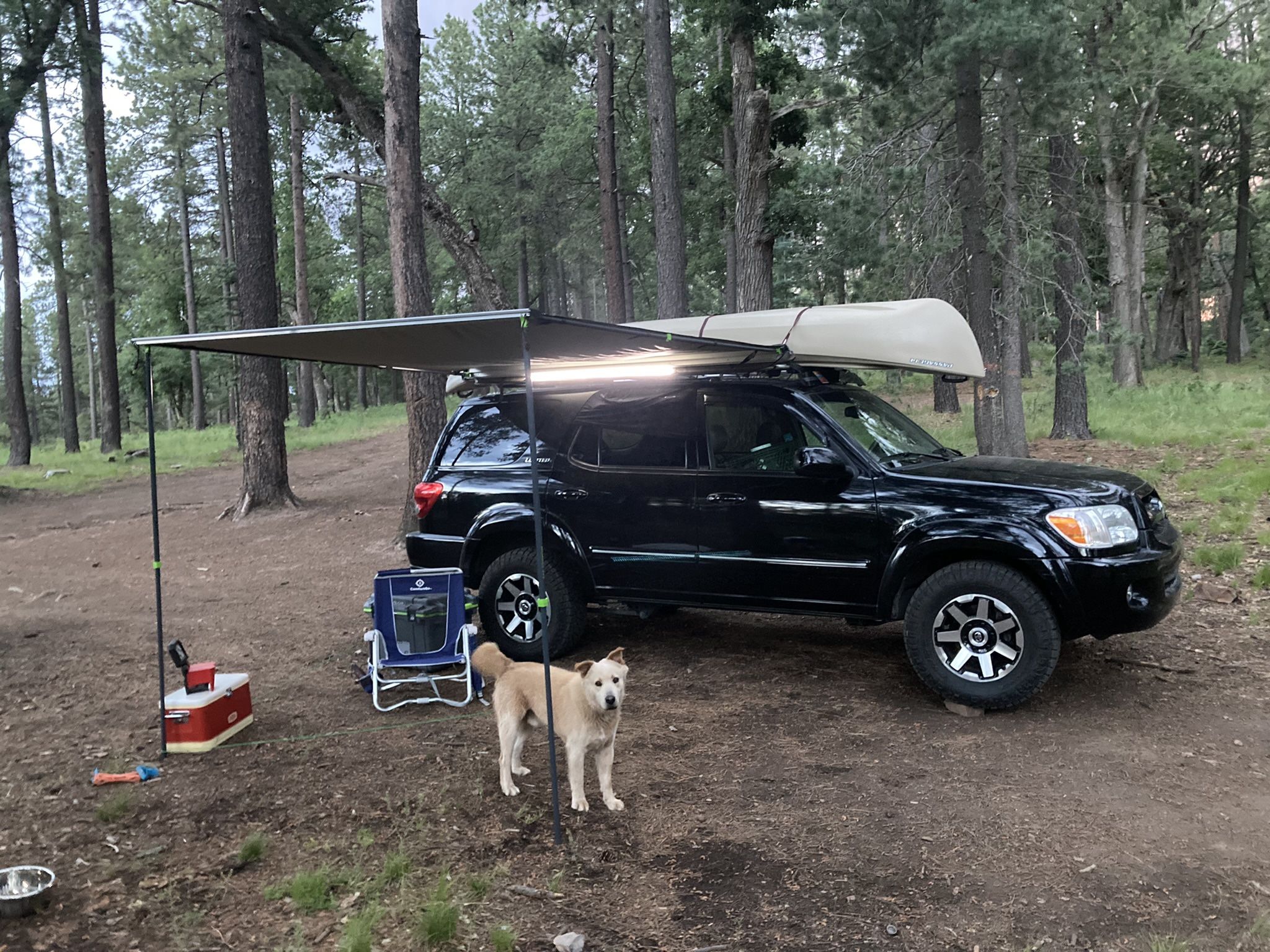 Roof Rack Overlanding Toyota Sequoia