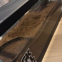 20 gallon Tank With Hide And Waterbowl 