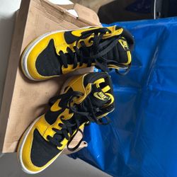 Nike Dunk High