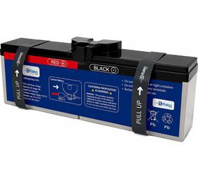 Raion Power Compatible UPS Replacement RBC161 Battery for APC UPS BN1100M2, BR1000MS, BN1500M2, BR1350MS, BN1350M2, and BN1375M2, RG-RBC161