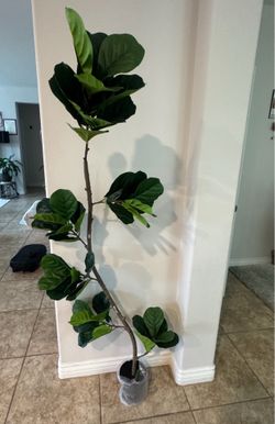 6 FT Artificial Rubber Tree, Large Faux Potted Plants with Lifelike Leaves and Natural Wood Trunk