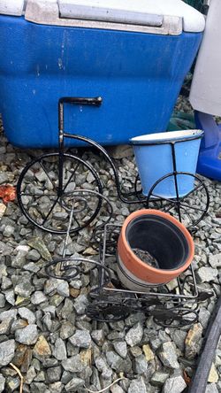 2 plants bikes