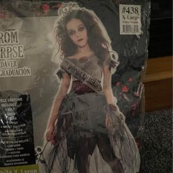Prom Corpse, Prom Queen, Zombie Halloween Costume. Child XL