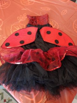 Costume Lady Bug size 4-6