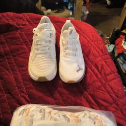 Two Pair Of Pumas And 2 Packs Of Diapers For 50