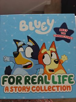 Bluey For Real Life