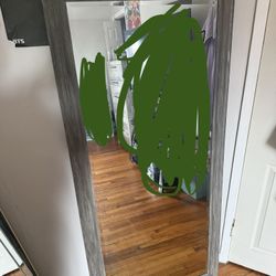 Full body mirror