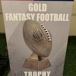 Gold Fantasy Football Trophy 