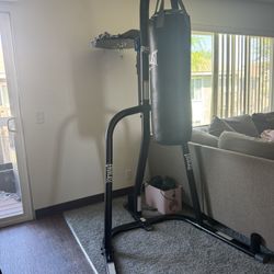 Punching Bag Stand With Speed Bag