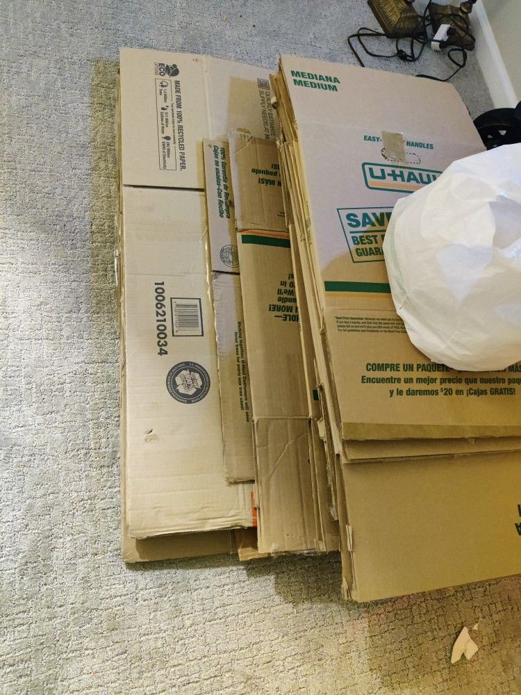 Move Out Boxes  