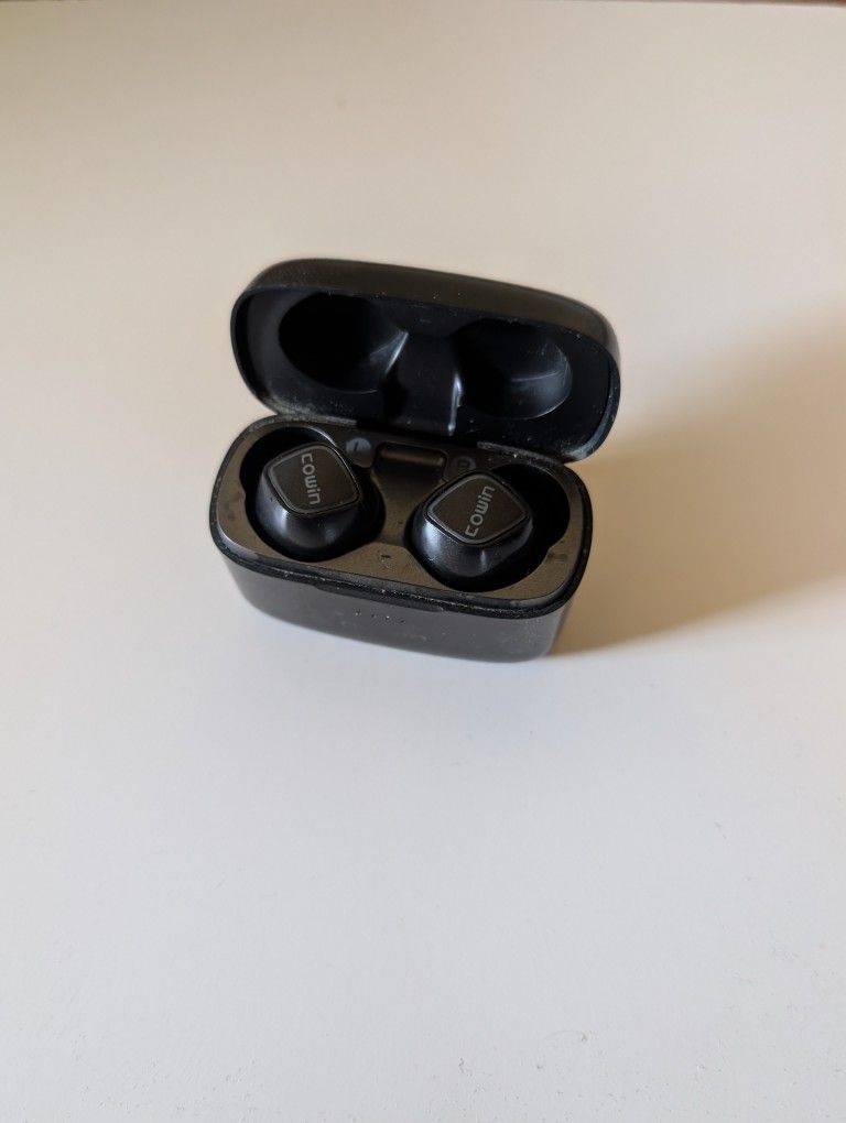 Cowin Wireless Bluetooth Earbuds