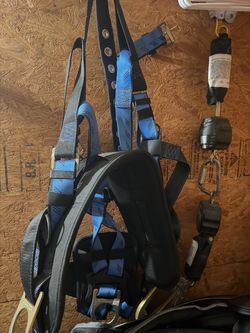 Harness